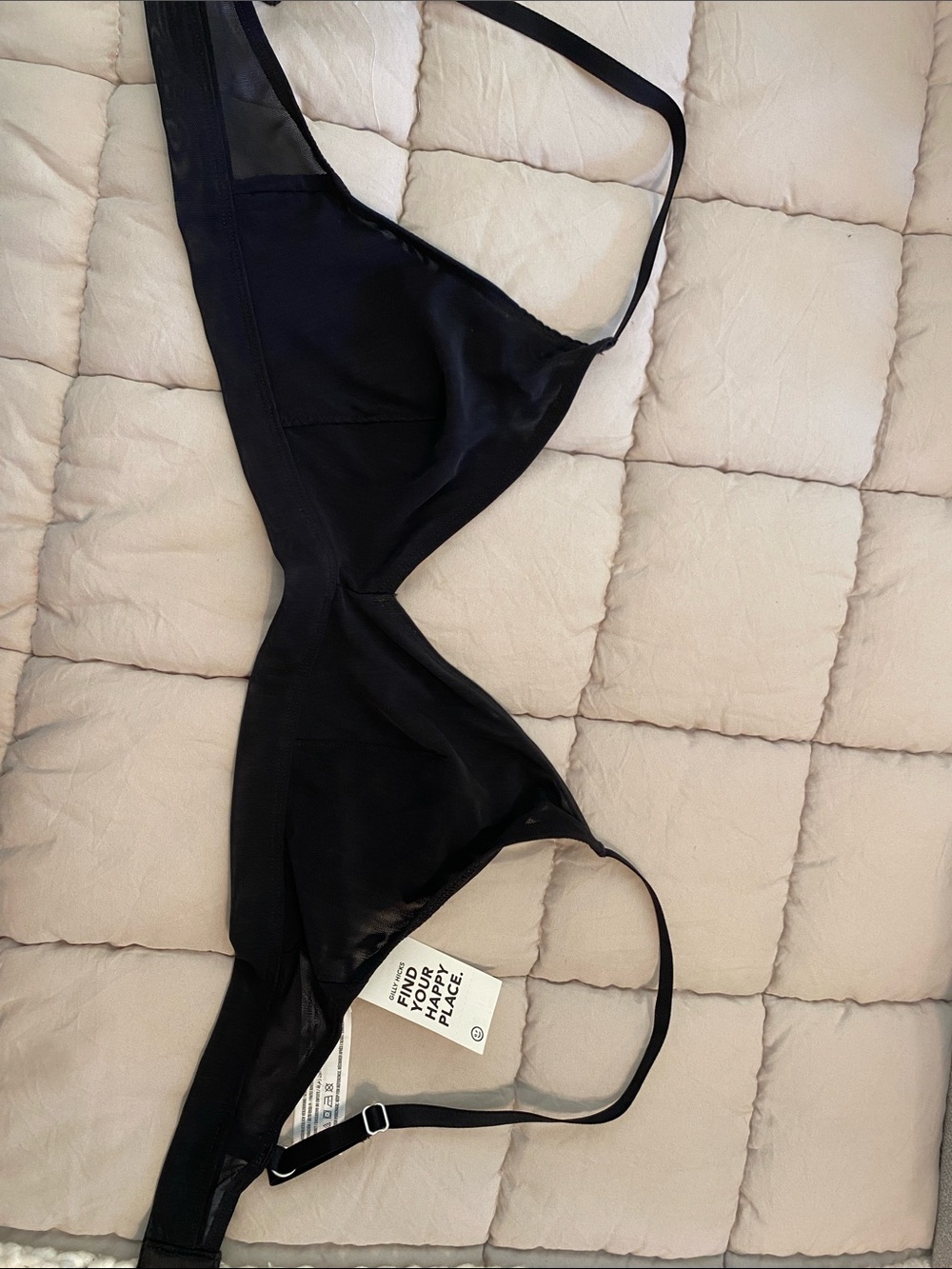 Gilly Hicks Black Sheer Triangle Bralette